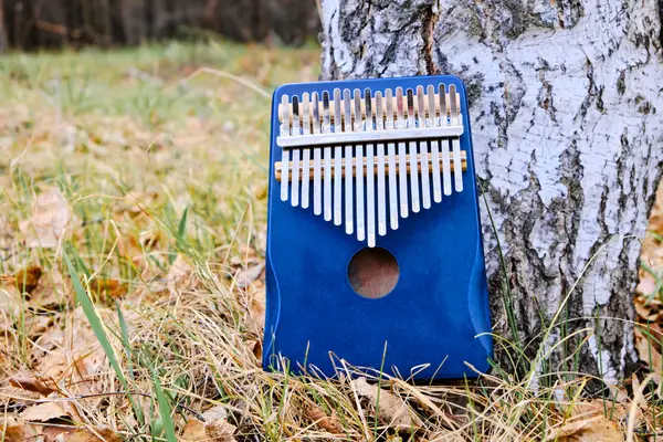 kalimba 17 lames bleu contre un arbre